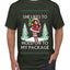 Hold My Package, Ugly Christmas Sweater Unisex Unisex Men's T-Shirt