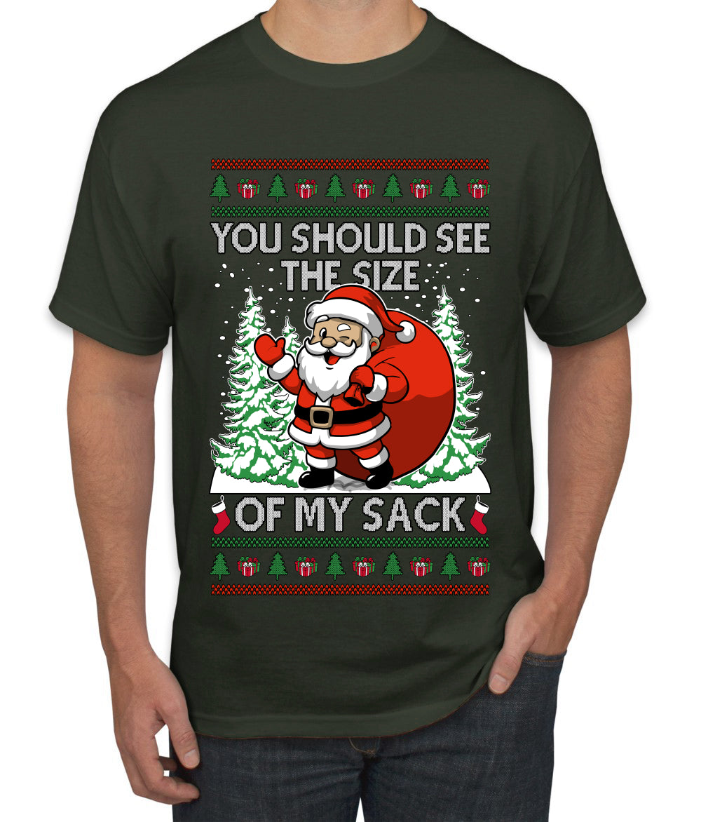 You Should See The Size Of My Sack Naughty Santa, Ugly Christmas Sweater Unisex Men's T-Shirt