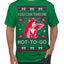 You Can Take Me Hot to Go, Funny Midwest Princess Pop Star Ugly Christmas Sweater Men's T-Shirt