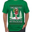 Hold My Package, Ugly Christmas Sweater Unisex Unisex Men's T-Shirt