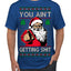 You Ain't Getting Shit Funny Santa Claus Ugly Christmas Sweater Men's T-Shirt
