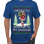 Hold My Package, Ugly Christmas Sweater Unisex Unisex Men's T-Shirt