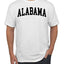 State of Alabama College Style Fashion Men's T-Shirt
