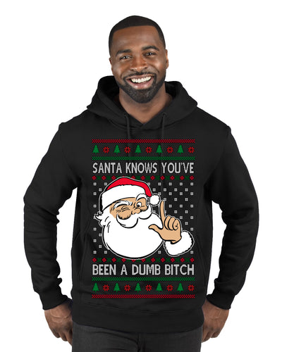 Santa Knows You've Been a Dumb Bitch Funny Vulgar Dirty Ugly Christmas Sweater Premium Graphic Hoodie Sweatshirt