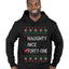 Funny Meme List Naughty, Nice, 41, Ugly Christmas Sweater Premium Graphic Hoodie Sweatshirt