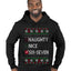 Naughty Nice 6 7 Checklist, Ugly Christmas Sweater Unisex Premium Graphic Hoodie Sweatshirt