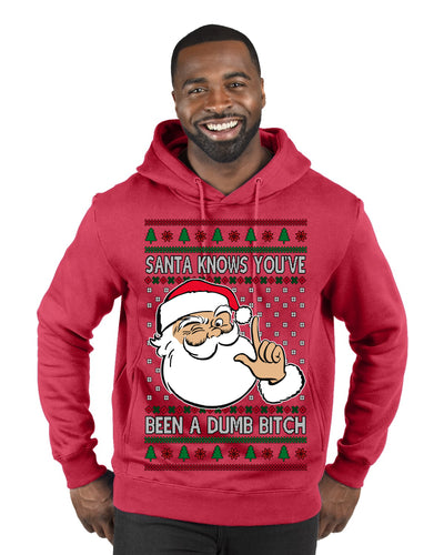 Santa Knows You've Been a Dumb Bitch Funny Vulgar Dirty Ugly Christmas Sweater Premium Graphic Hoodie Sweatshirt