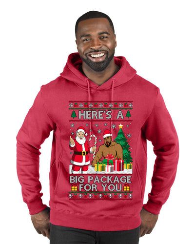 Here's A Big Package For You Santa Christmas Sweater, Ugly Christmas Sweater Premium Graphic Hoodie Sweatshirt