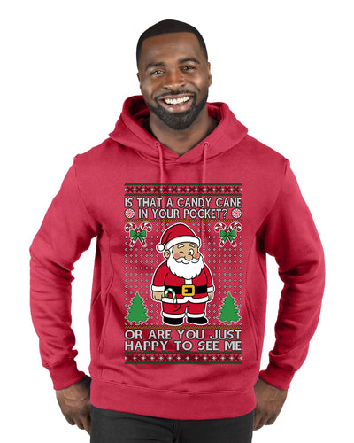 Is That A Candy Cane In Your Pocket Naughty Santa, Ugly Christmas Sweater Unisex Premium Graphic Hoodie Sweatshirt