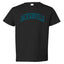 Classic Varsity College Style Fantasy Fan, Trendy Team Streetwear Sports Toddler Crew Graphic T-Shirt