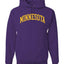 American Football Cities Classic Varsity College Style Fantasy Fan Sports Unisex Hoodie
