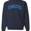 American Football Cities Classic Varsity College Style Fantasy Fan Sports Unisex Crewneck Sweatshirt