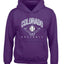 American Baseball Fan Vintage Distressed Field Sports Gift Youth Hooded Sweatshirt