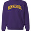 American Football Cities Classic Varsity College Style Fantasy Fan Sports Unisex Crewneck Sweatshirt