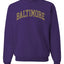 American Football Cities Classic Varsity College Style Fantasy Fan Sports Unisex Crewneck Sweatshirt