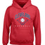 American Baseball Fan Vintage Distressed Field Sports Gift Youth Hooded Sweatshirt