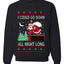 I Could Go Down All Night Long, Ugly Christmas Unisex Sweater, Crewneck Sweatshirts