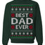 Best Dad Ever Classic Winter Holidays Ugly Christmas Sweater Crewneck Sweatshirt