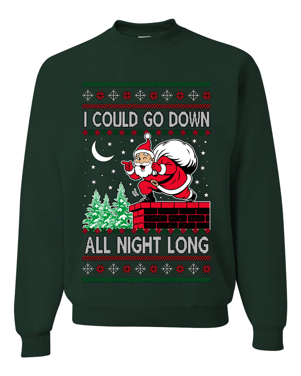 I Could Go Down All Night Long, Ugly Christmas Unisex Sweater, Crewneck Sweatshirts