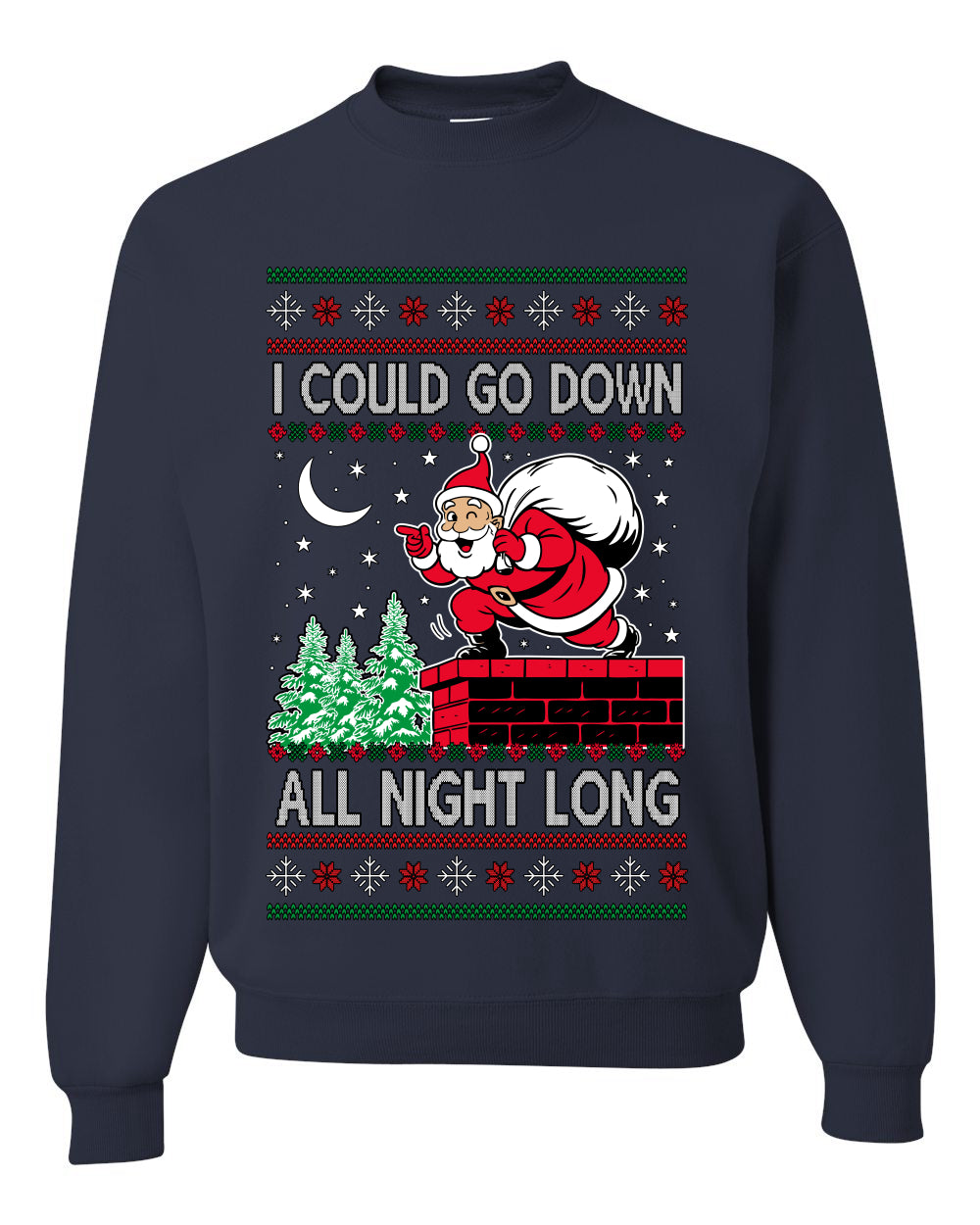 I Could Go Down All Night Long, Ugly Christmas Unisex Sweater, Crewneck Sweatshirts