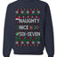 Naughty Nice 6 7 Checklist, Unisex Ugly Christmas Sweater, Crewneck Sweatshirts