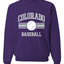 Hometown Fan Team Pride Baseball Sweatshirt Unisex Crewneck Sports Fan