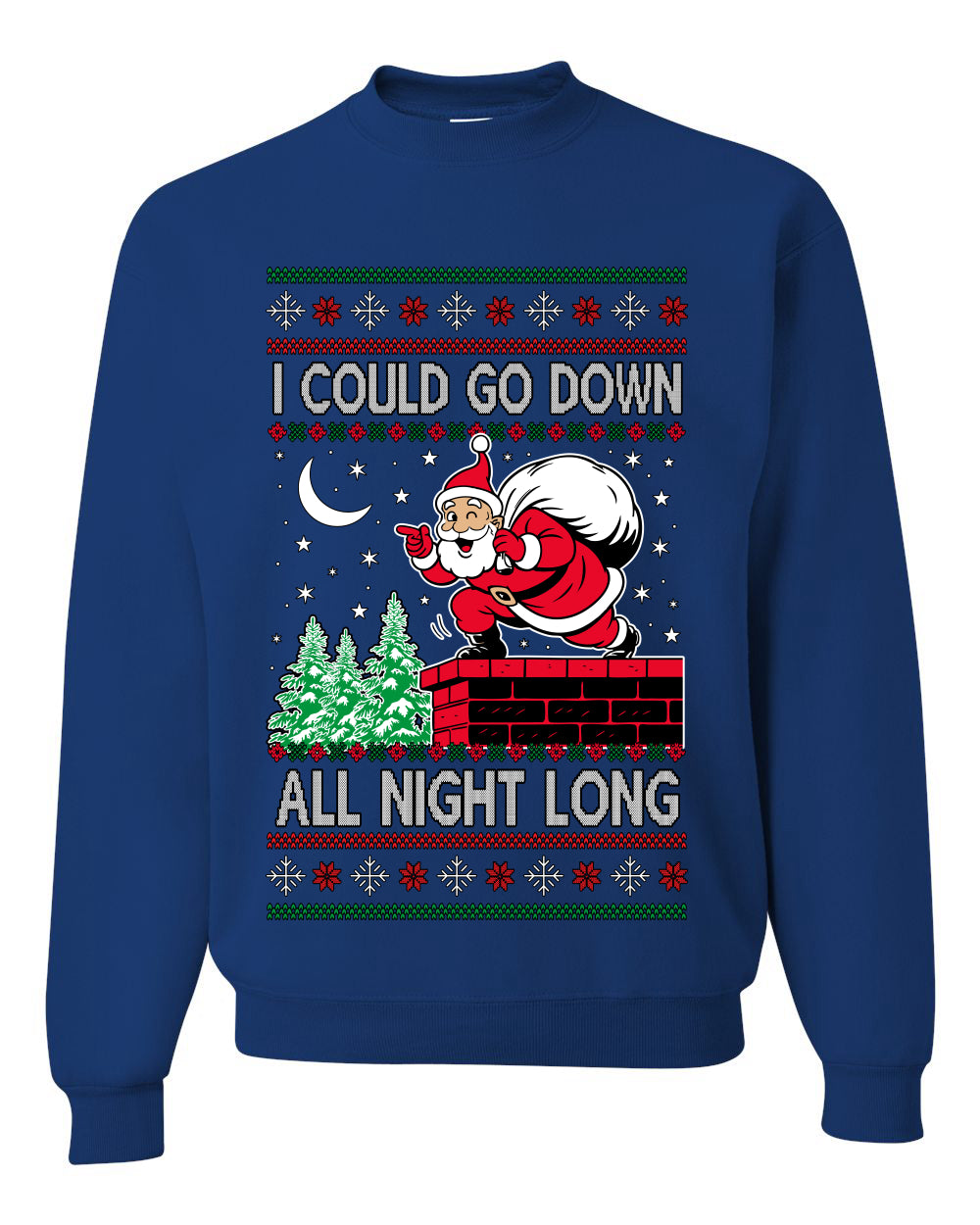 I Could Go Down All Night Long, Ugly Christmas Unisex Sweater, Crewneck Sweatshirts