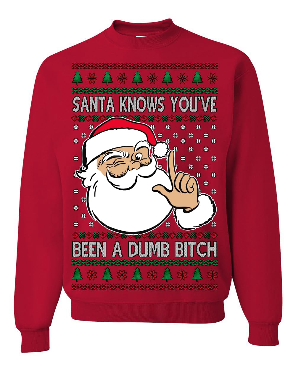 Santa Knows You've Been a Dumb Bitch Funny Vulgar Ugly Christmas Sweater