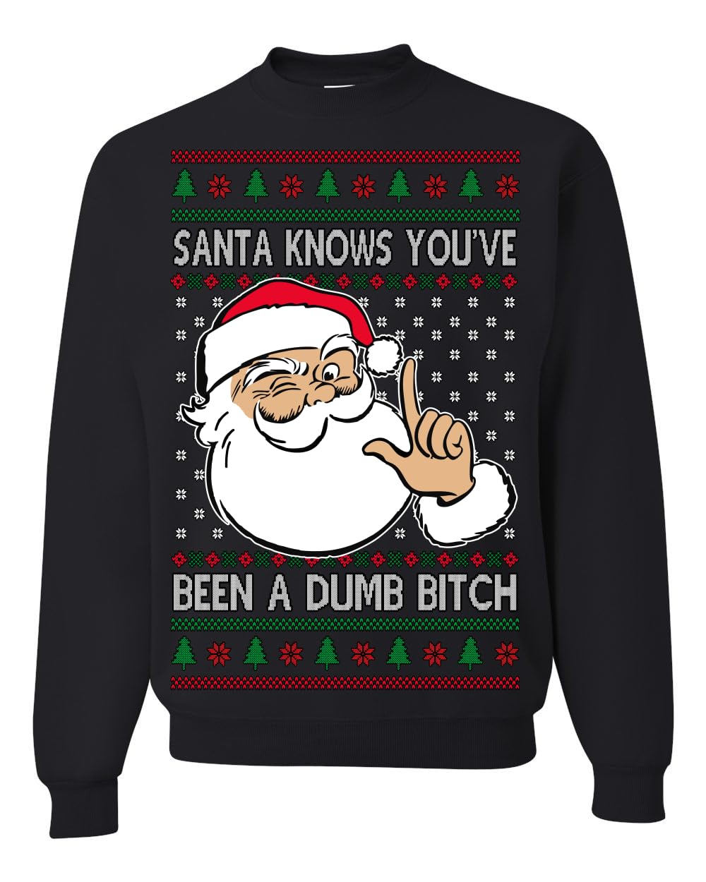 Santa Knows You've Been a Dumb Bitch Funny Vulgar Ugly Christmas Sweater