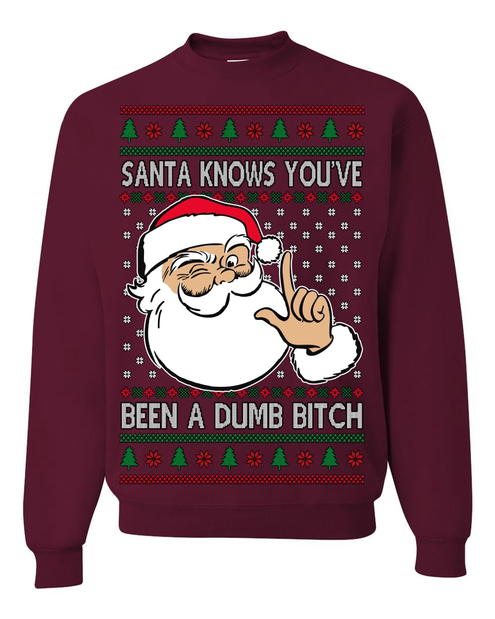 Santa Knows You've Been a Dumb Bitch Funny Vulgar Ugly Christmas Sweater