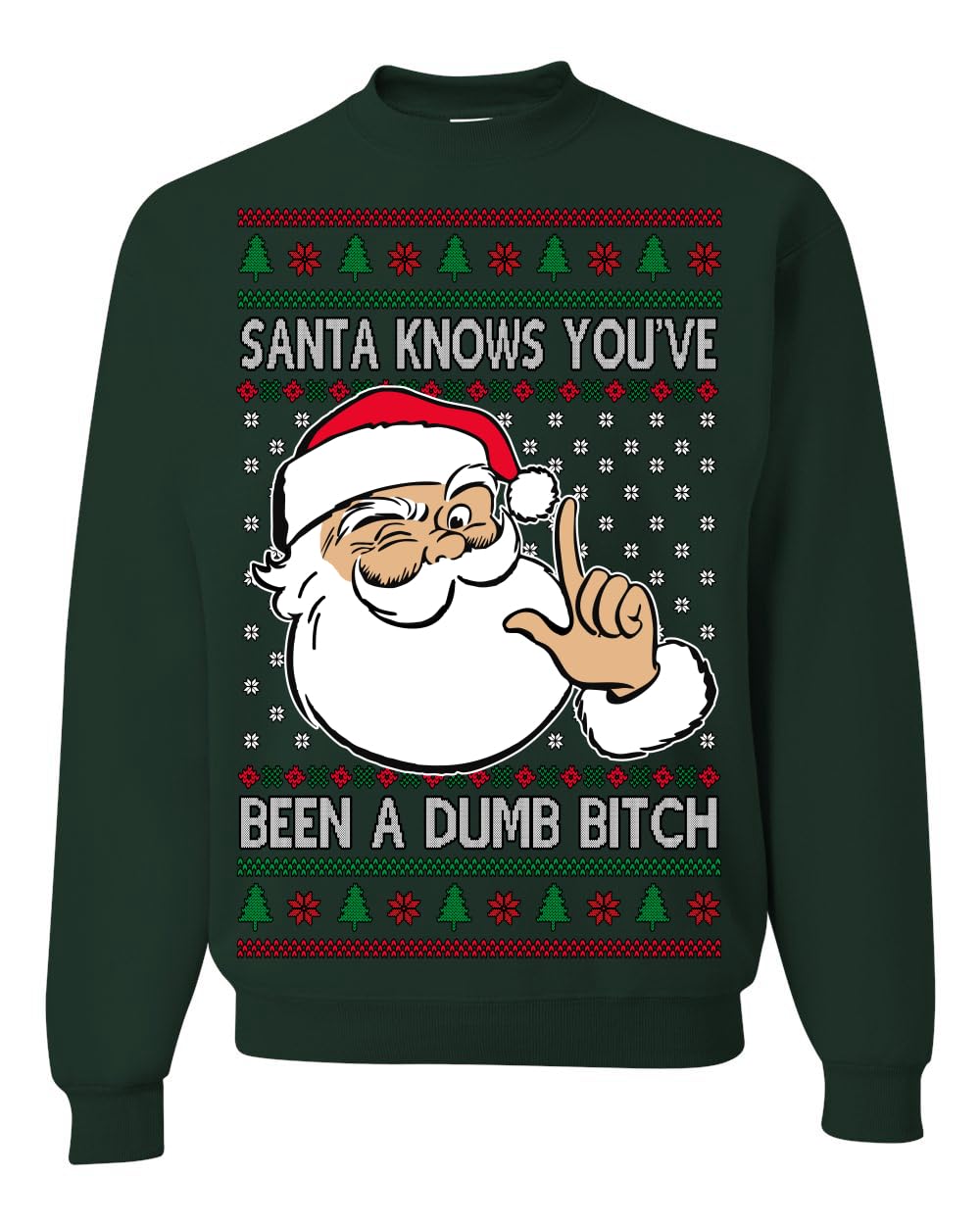 Santa Knows You've Been a Dumb Bitch Funny Vulgar Ugly Christmas Sweater