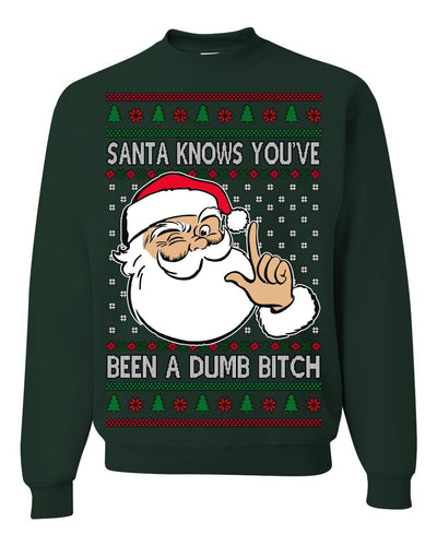 Santa Knows You've Been a Dumb Bitch Funny Vulgar Ugly Christmas Sweater