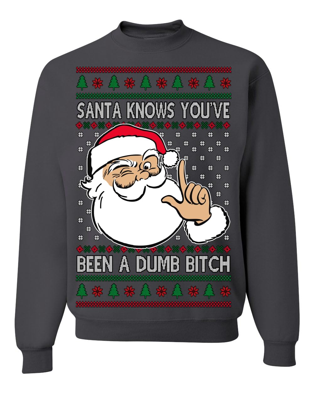 Santa Knows You've Been a Dumb Bitch Funny Vulgar Ugly Christmas Sweater