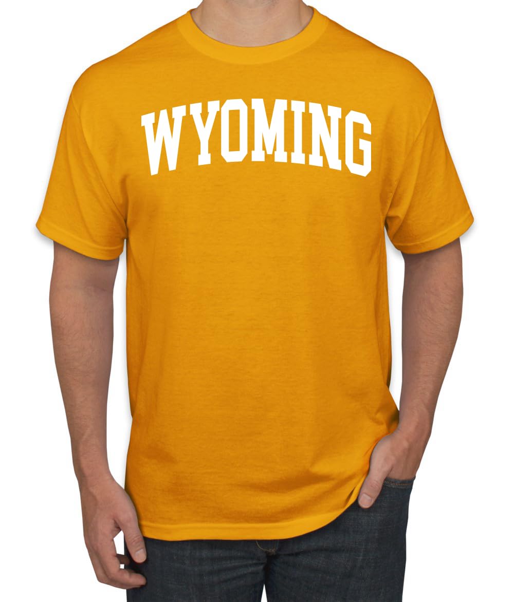 State of Wyoming College Style Fashion Men's T-Shirt