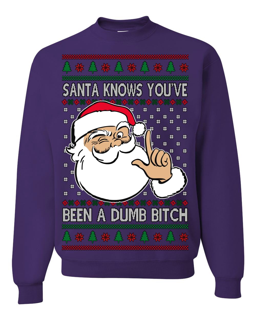 Santa Knows You've Been a Dumb Bitch Funny Vulgar Ugly Christmas Sweater