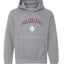 American Baseball Fan Vintage Distressed Field Sports Gift Youth Hooded Sweatshirt