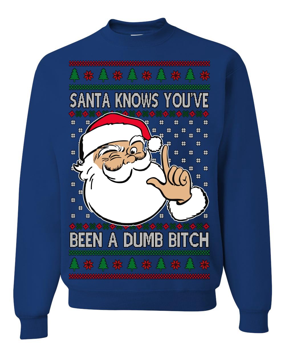 Santa Knows You've Been a Dumb Bitch Funny Vulgar Ugly Christmas Sweater