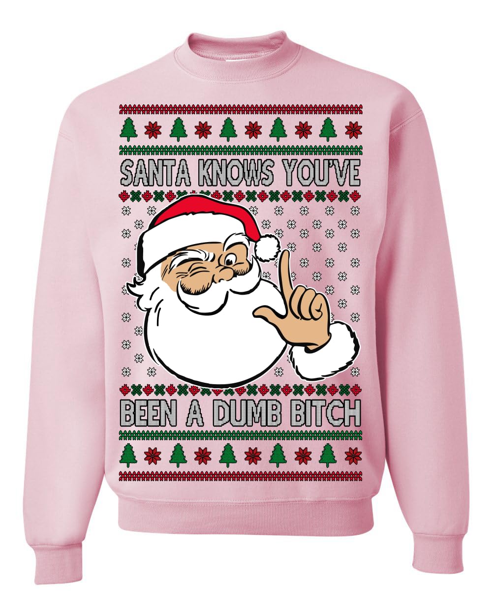 Santa Knows You've Been a Dumb Bitch Funny Vulgar Ugly Christmas Sweater