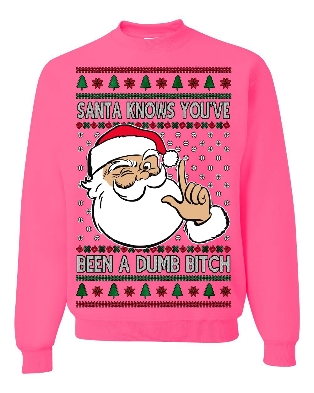 Santa Knows You've Been a Dumb Bitch Funny Vulgar Ugly Christmas Sweater