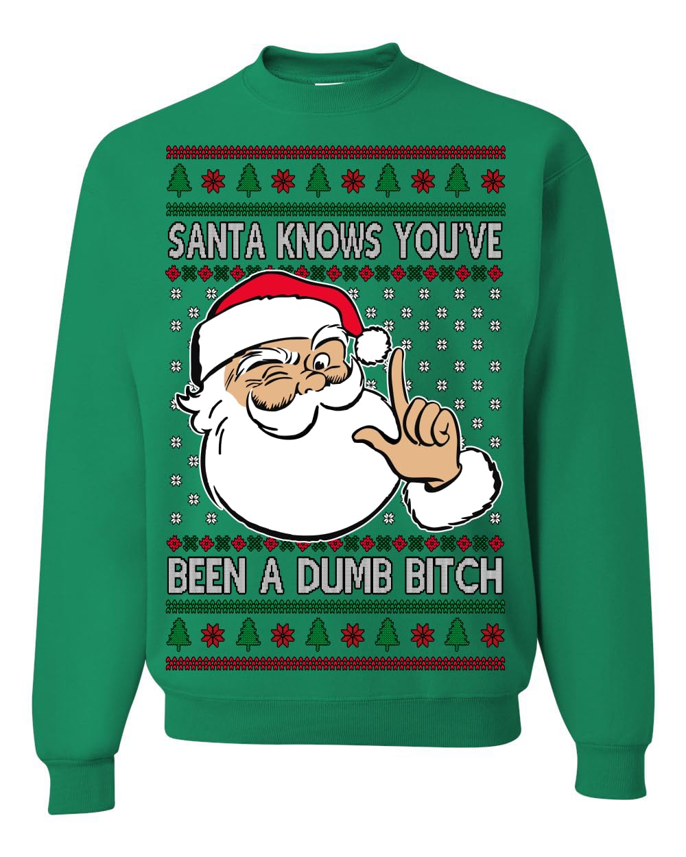 Santa Knows You've Been a Dumb Bitch Funny Vulgar Ugly Christmas Sweater
