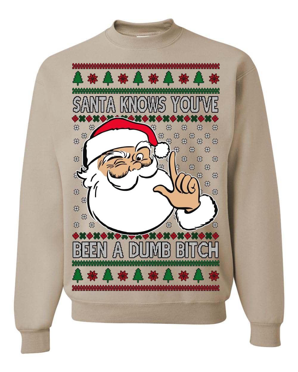 Santa Knows You've Been a Dumb Bitch Funny Vulgar Ugly Christmas Sweater