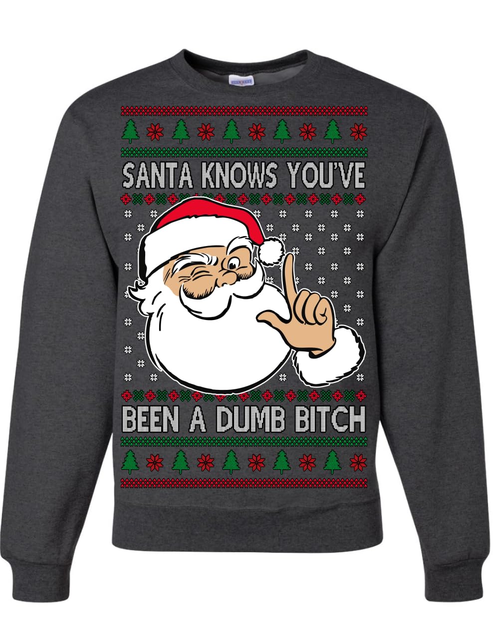 Santa Knows You've Been a Dumb Bitch Funny Vulgar Ugly Christmas Sweater