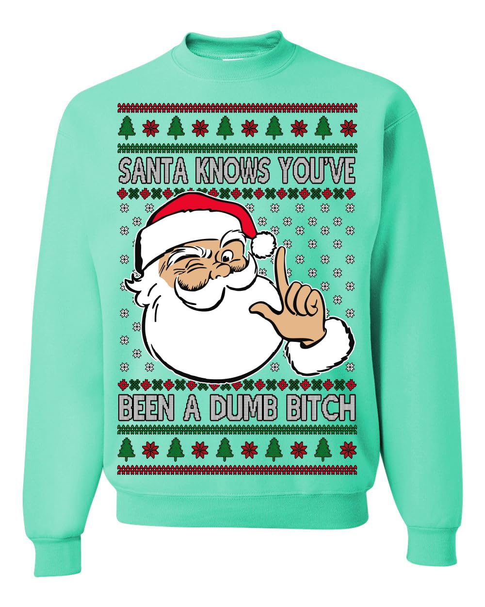 Santa Knows You've Been a Dumb Bitch Funny Vulgar Ugly Christmas Sweater