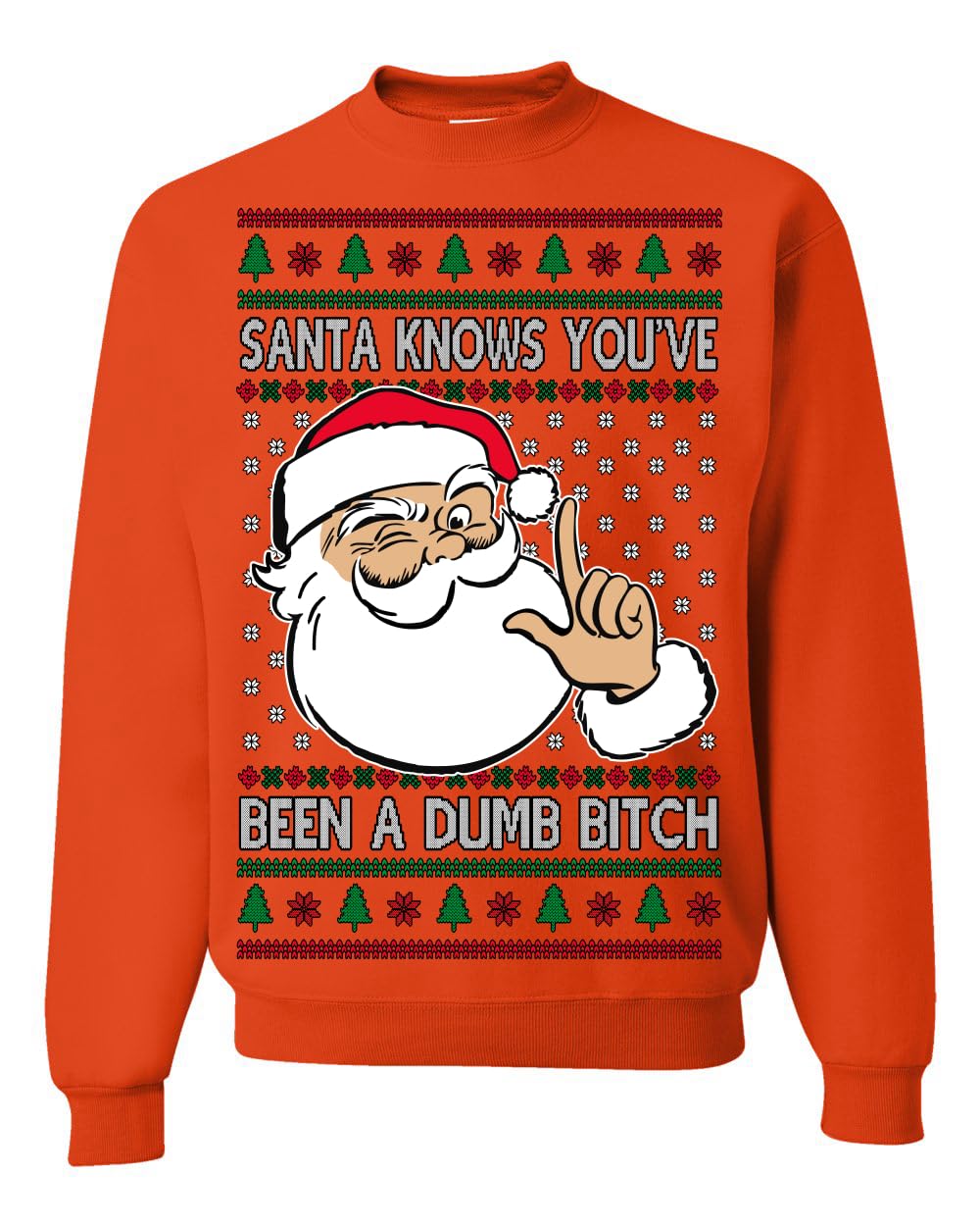Santa Knows You've Been a Dumb Bitch Funny Vulgar Ugly Christmas Sweater
