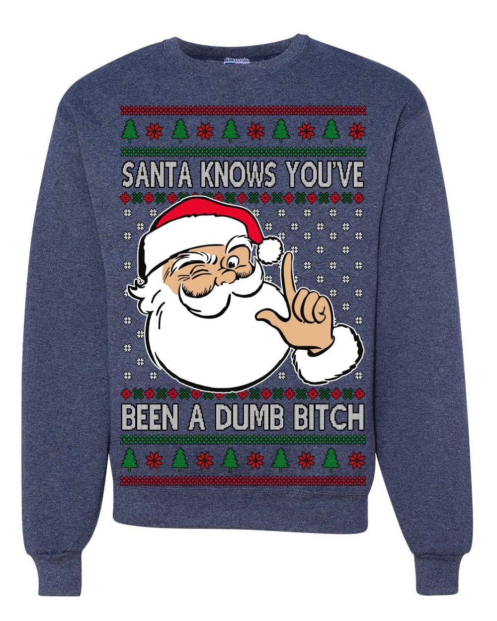 Santa Knows You've Been a Dumb Bitch Funny Vulgar Ugly Christmas Sweater