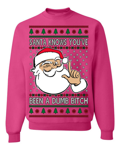 Santa Knows You've Been a Dumb Bitch Funny Vulgar Ugly Christmas Sweater