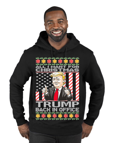 All I Want For Christmas is Trump Back In Office  Merry Ugly Christmas Sweater Premium Graphic Hoodie Sweatshirt