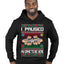 I Paused My Game To Be Here Merry Ugly Christmas Sweater Premium Graphic Hoodie Sweatshirt