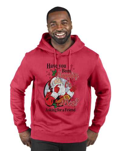 Have You Been Naughty or Nice?  Merry Christmas Premium Graphic Hoodie Sweatshirt