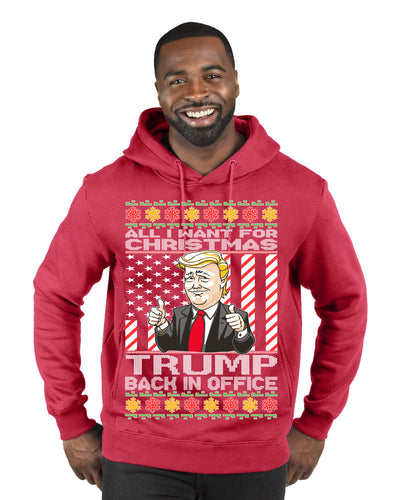 All I Want For Christmas is Trump Back In Office  Merry Ugly Christmas Sweater Premium Graphic Hoodie Sweatshirt